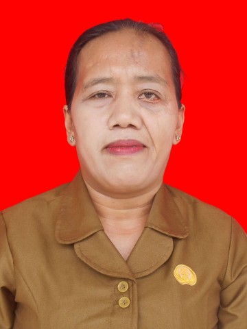 hinsa samosir