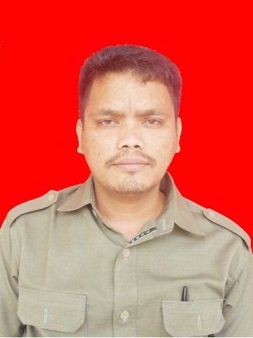 hotdison parasian sibarani