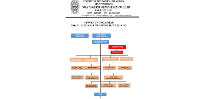 STRUKTUR ORGANISASI