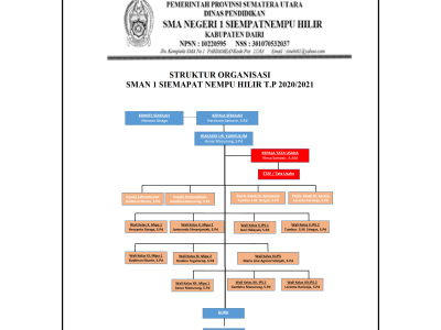 STRUKTUR ORGANISASI